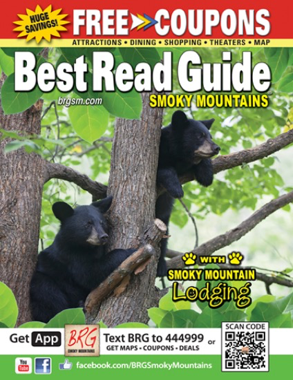 brg-smokymtn-lodging-guide